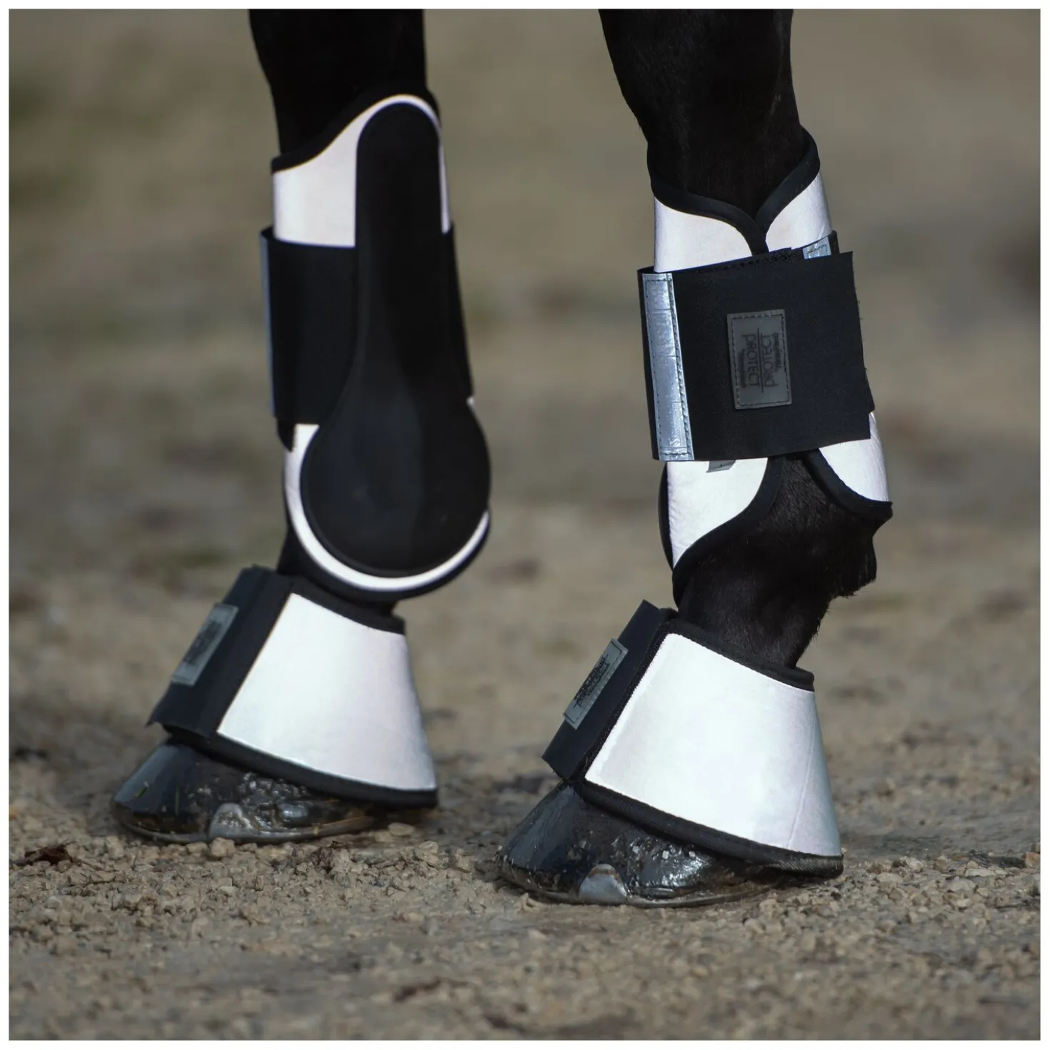 PROTECT by Horse-friends Hufglocken