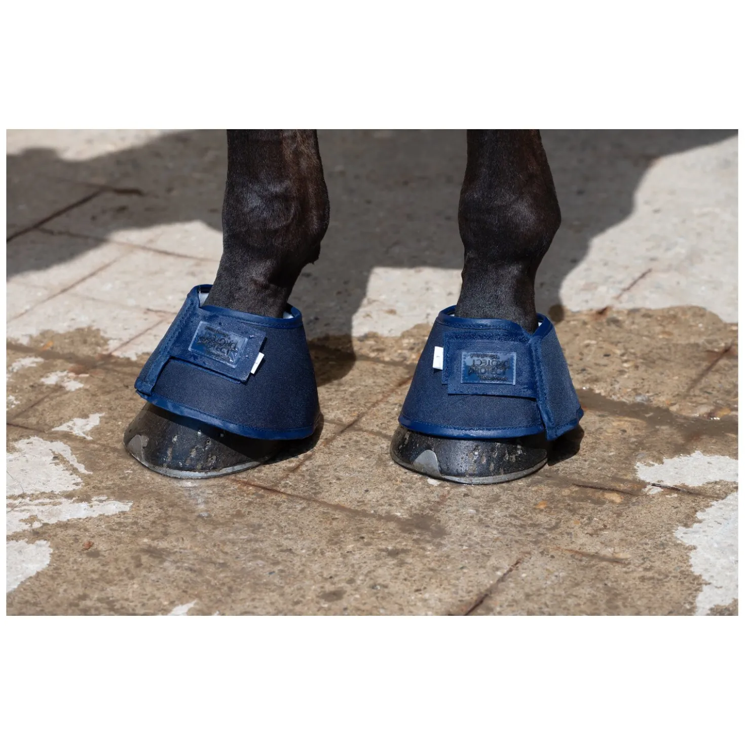PROTECT by Horse-Friends Hufglocken Water Boot