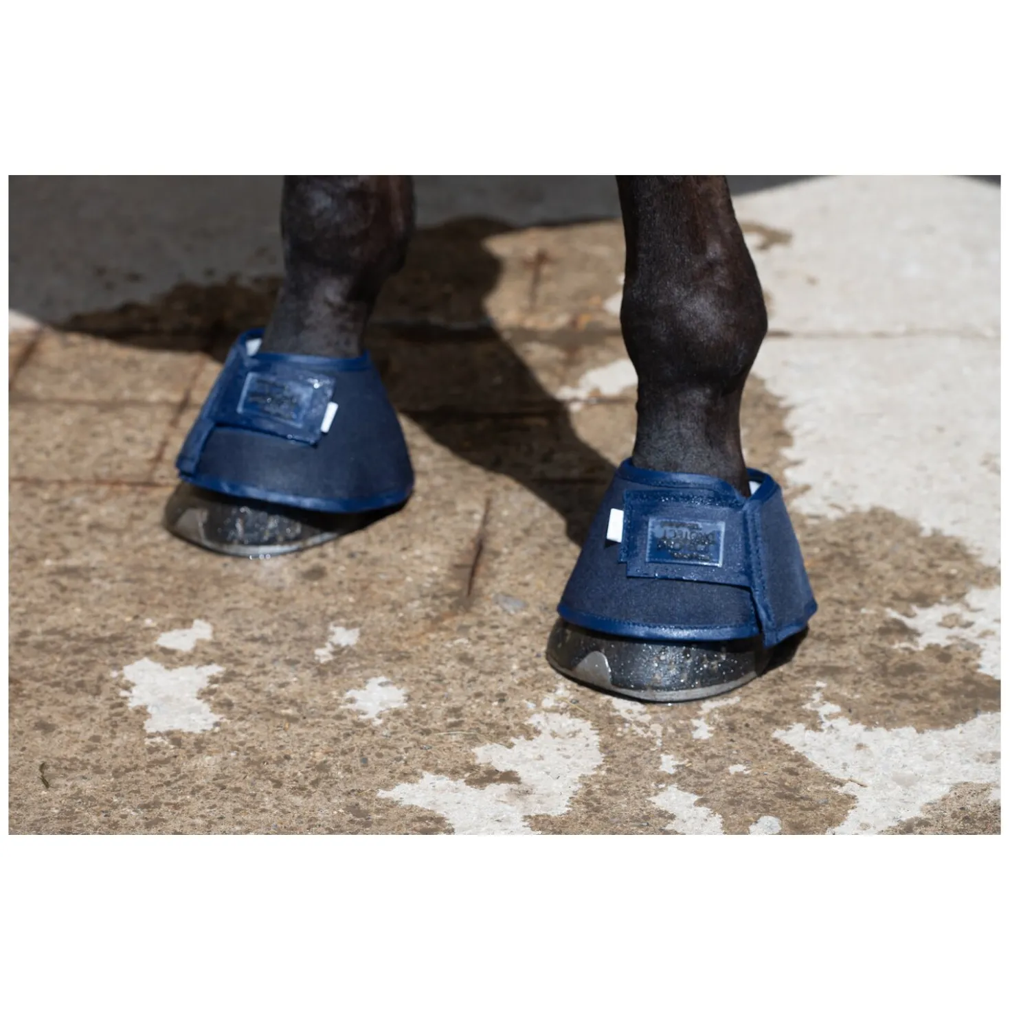 PROTECT by Horse-Friends Hufglocken Water Boot