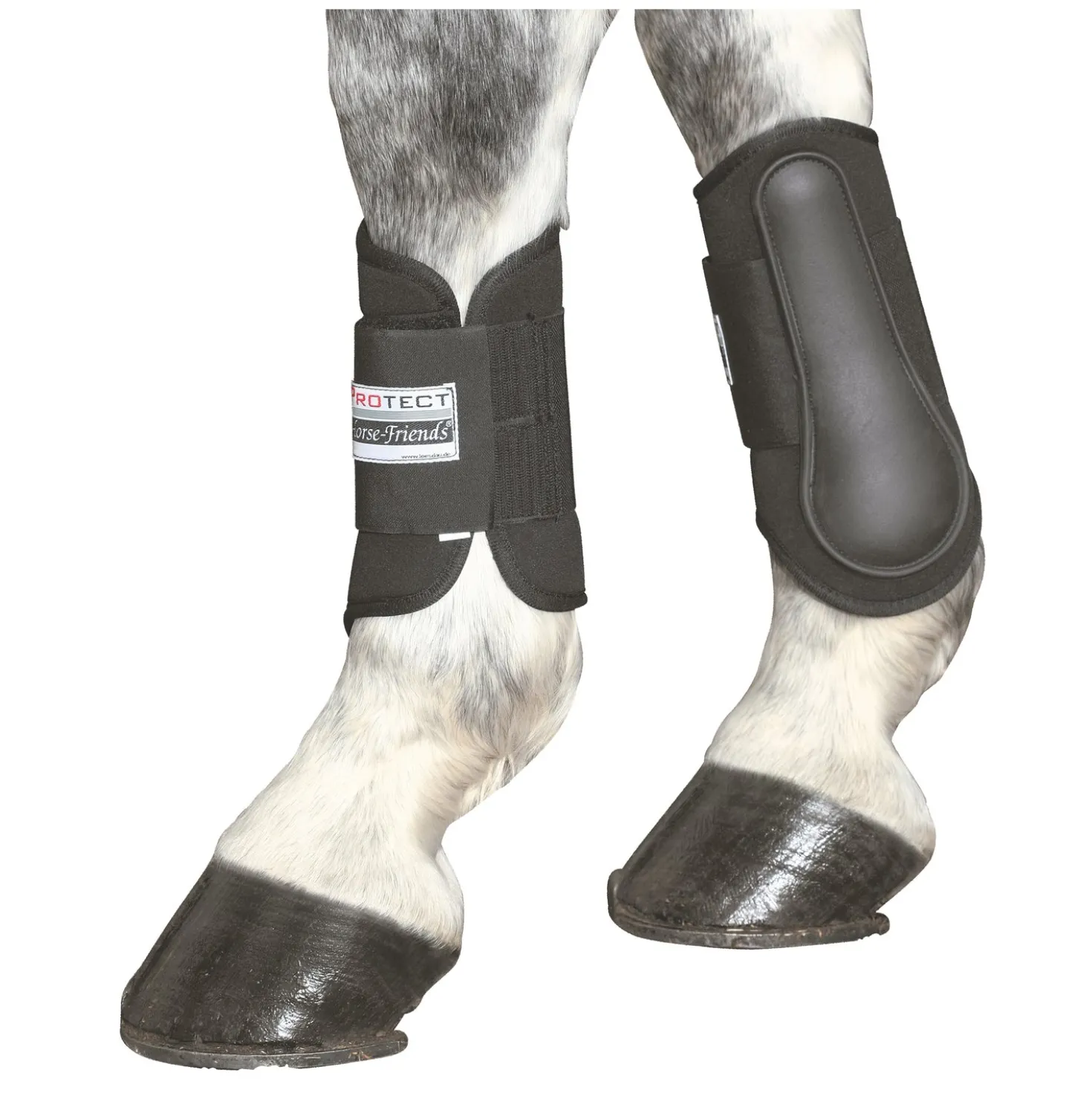 PROTECT by Horse-Friends Kautschuk-Gamasche, vorne