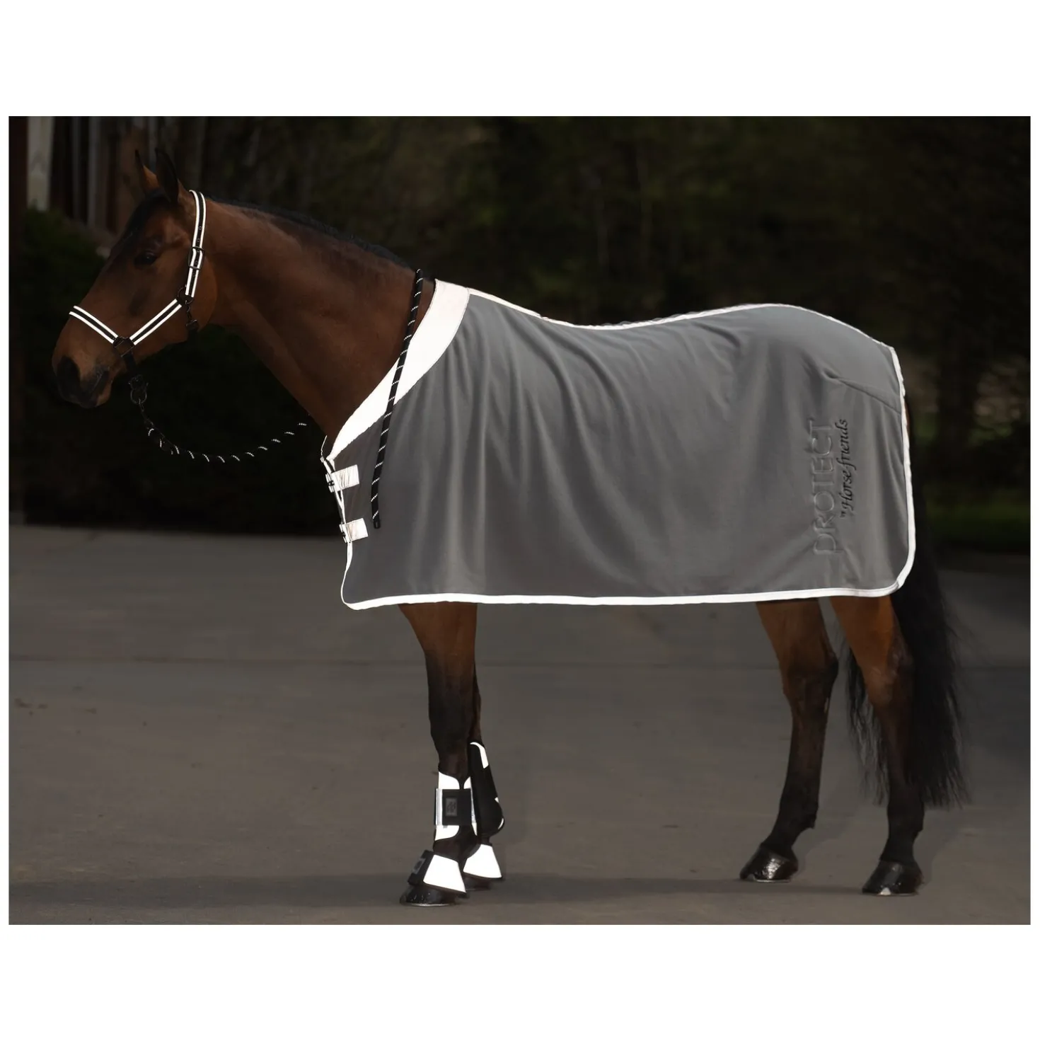 PROTECT by Horse-friends Reflektierende Abschwitzdecke