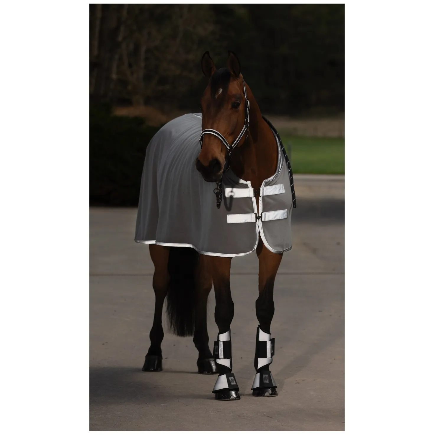 PROTECT by Horse-friends Reflektierende Abschwitzdecke