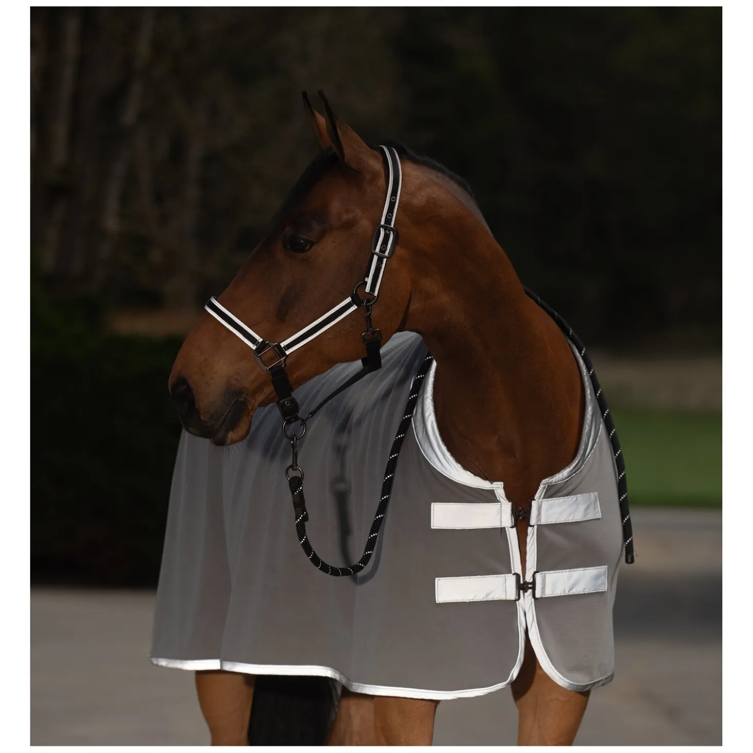 PROTECT by Horse-friends Reflektierende Abschwitzdecke