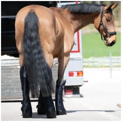 PROTECT by Horse-Friends Transportgamaschen Premium