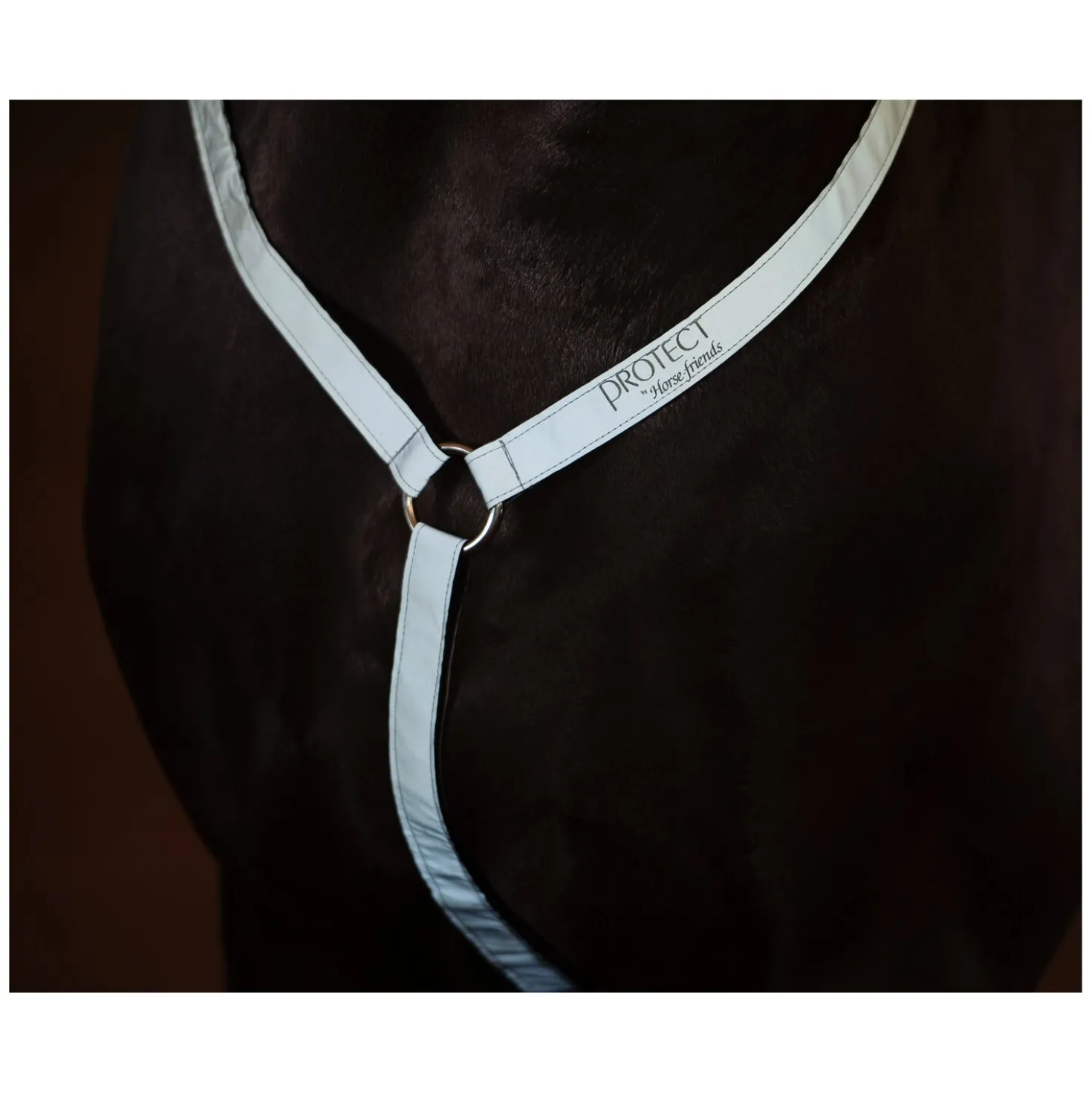 PROTECT by Horse-friends Vorderzeug