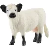 Schleich Farm World Galloway Kuh