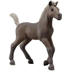 Schleich Sammelfohlen Darcy