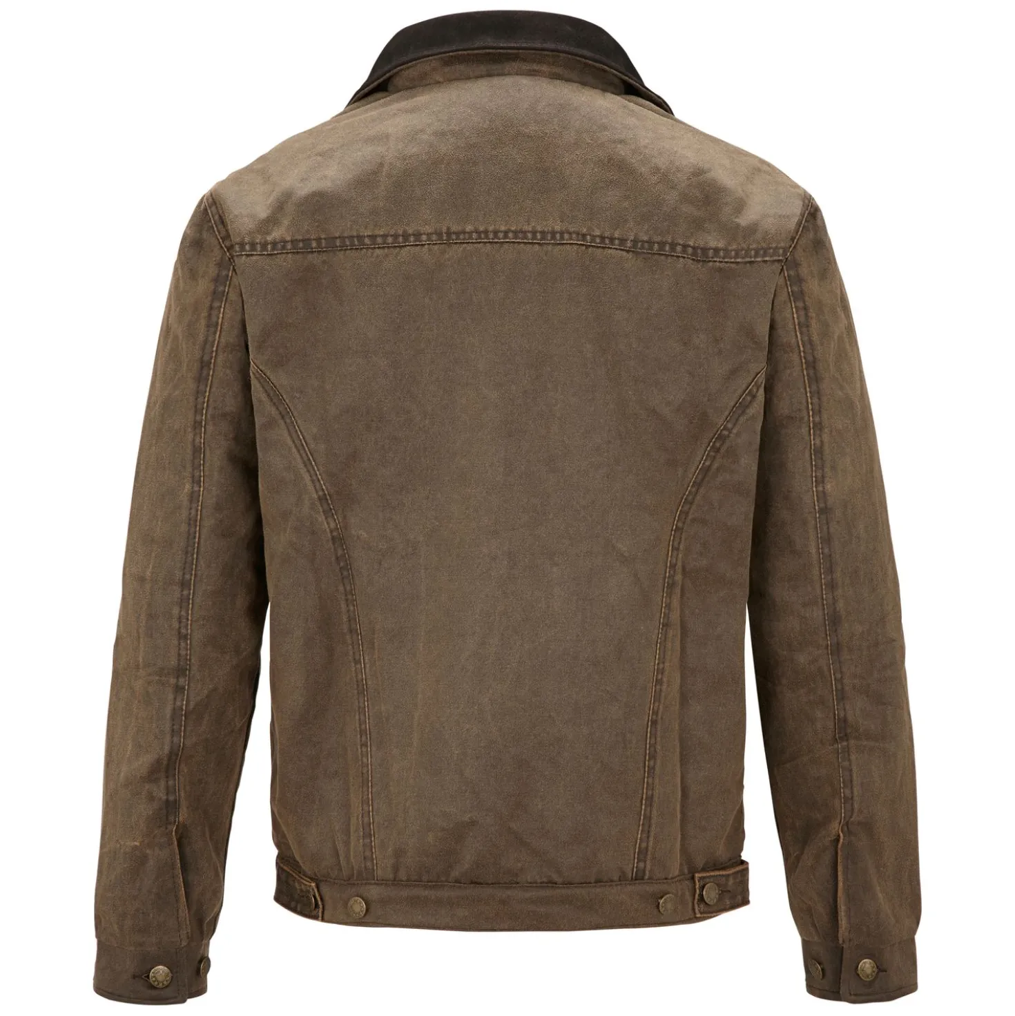SCIPPIS JackeLitchfield Tracker