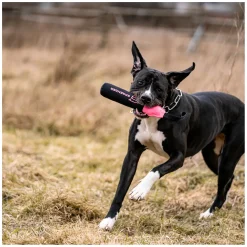 SPRENGER Hundespielzeug Dummy