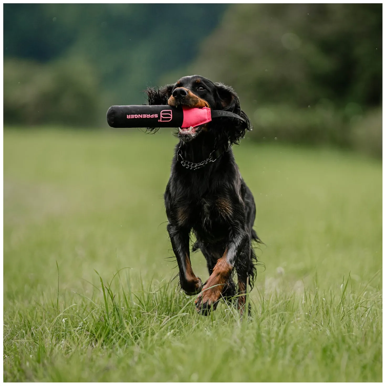 SPRENGER Hundespielzeug Dummy