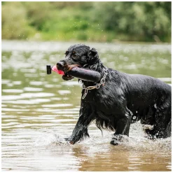 SPRENGER Hundespielzeug Dummy
