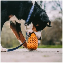 SPRENGER Hundespielzeug FRUIT CHALLENCE - Ananas