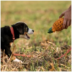SPRENGER Hundespielzeug FRUIT CHALLENCE - Ananas