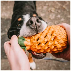 SPRENGER Hundespielzeug FRUIT CHALLENCE - Ananas