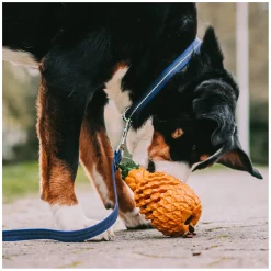 SPRENGER Hundespielzeug FRUIT CHALLENCE - Ananas