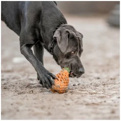 SPRENGER Hundespielzeug FRUIT CHALLENCE - Ananas