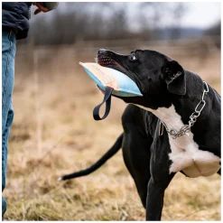 SPRENGER Hundespielzeug Kissen