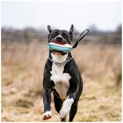 SPRENGER Hundespielzeug Kissen