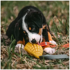 SPRENGER Hundespielzeug Mango