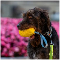 SPRENGER Hundespielzeug Mango