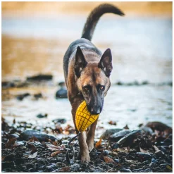 SPRENGER Hundespielzeug Mango