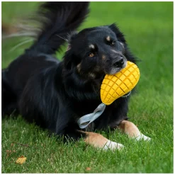 SPRENGER Hundespielzeug Mango