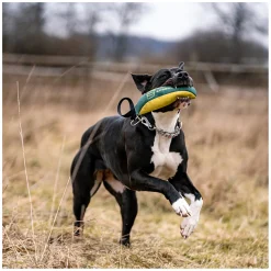 SPRENGER Hundespielzeug Soft Bringsel M