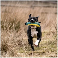 SPRENGER Hundespielzeug Soft Bringsel M