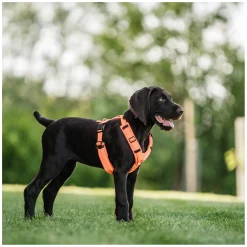 SPRENGER Y-Hundegeschirr 2.0, reflektierend