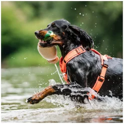 SPRENGER Y-Hundegeschirr 2.0, reflektierend