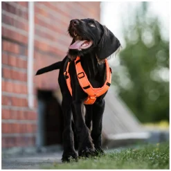 SPRENGER Y-Hundegeschirr 2.0, reflektierend