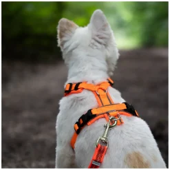 SPRENGER Y-Hundegeschirr 2.0, reflektierend
