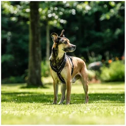 SPRENGER Y-Hundegeschirr 2.0, reflektierend