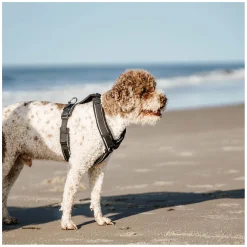 SPRENGER Y-Hundegeschirr 2.0, reflektierend
