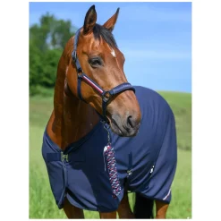 TOMMY HILFIGER EQUESTRIAN Halfter mit Führstrick Lexington