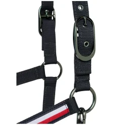 TOMMY HILFIGER EQUESTRIAN Halfter mit Führstrick Lexington