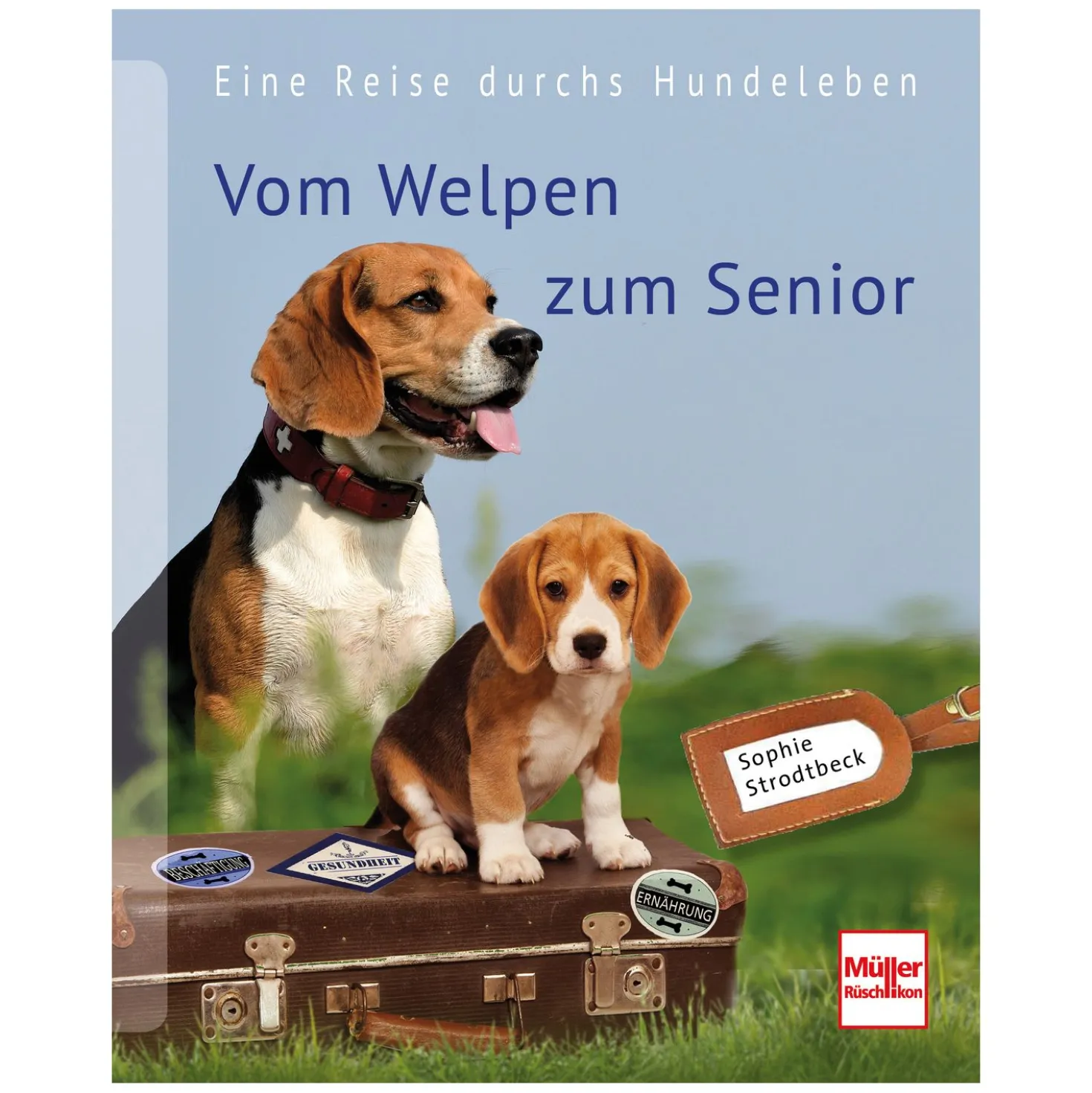 Vom Welpen zum Senior