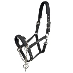 WALDHAUSEN Halfter Pro Safety